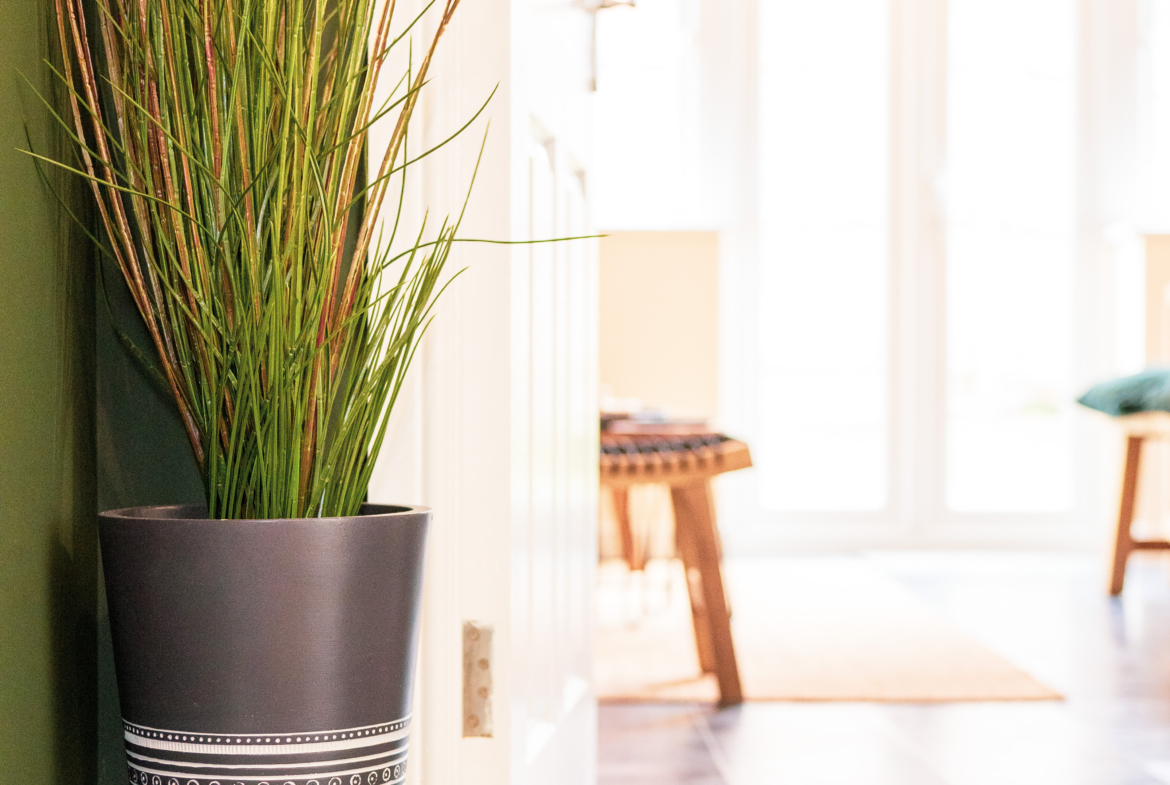 Plant decoration in the property of HMH Stays providing long-term accommodation
