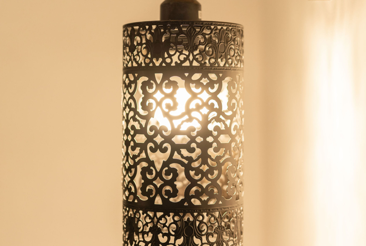 Lamp surrounding by cage