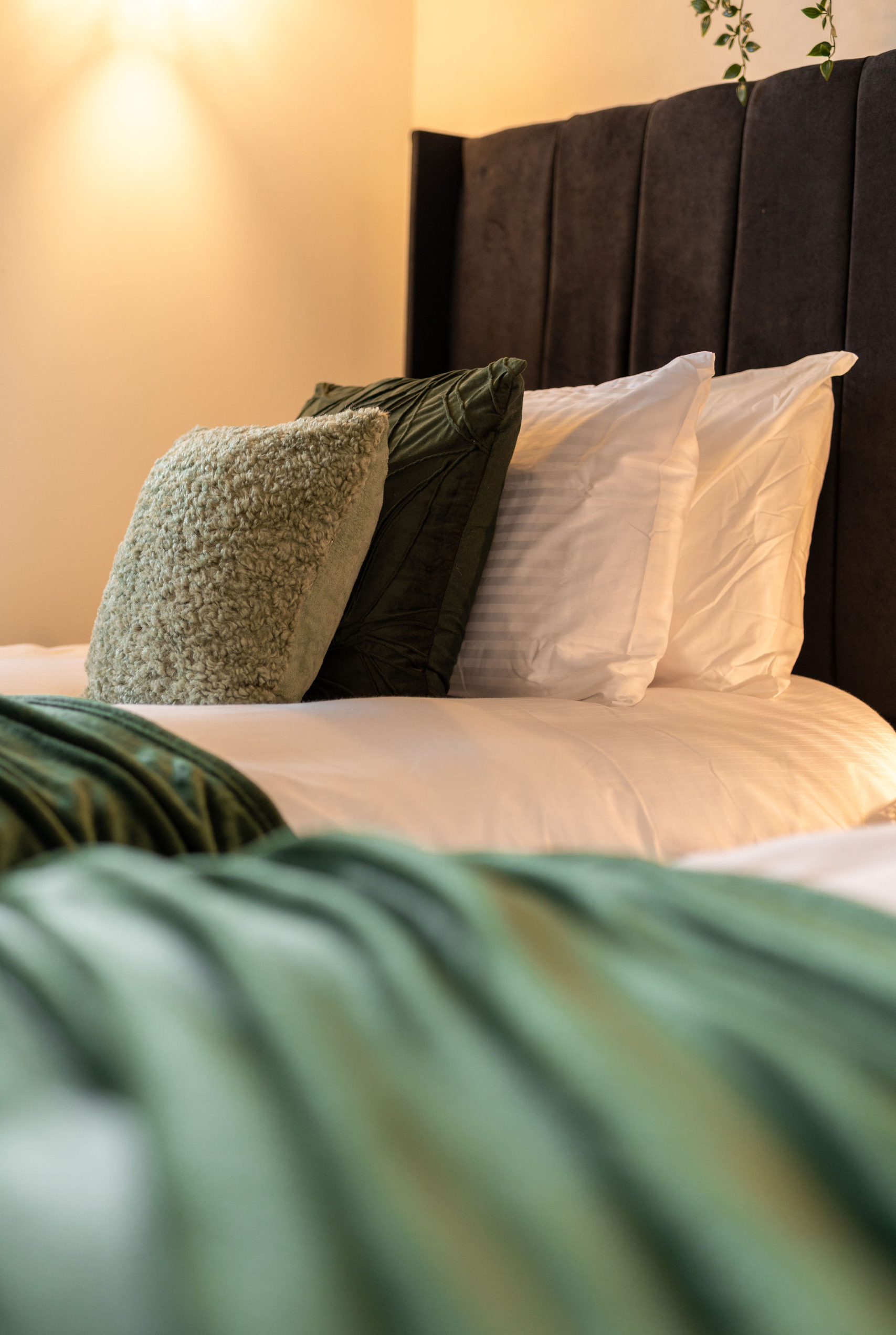 Single bed with White and Black cushions listed in the property of hmh stays