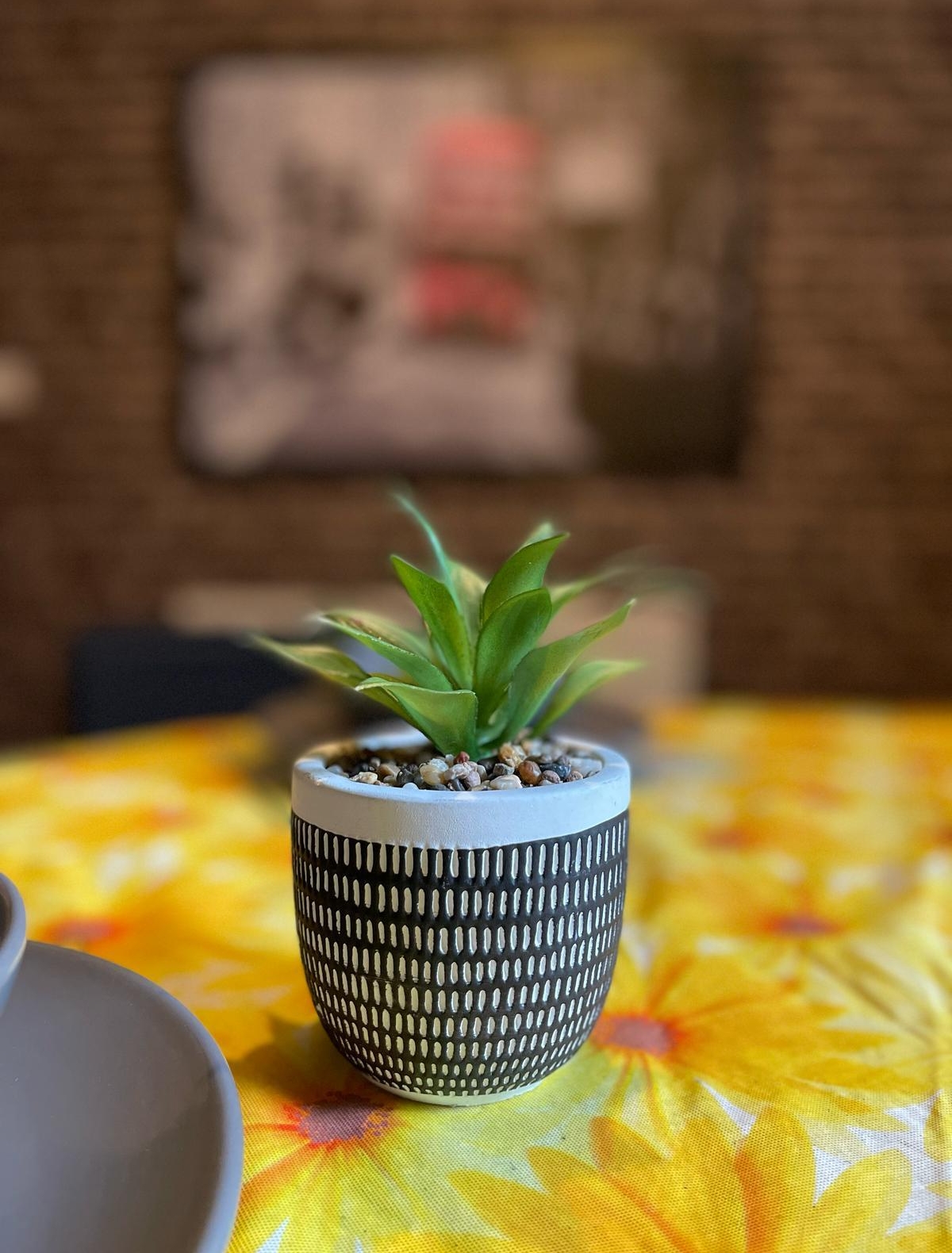 WhatsApp Image 2025-12-21 at 10.16.14 Plant displayed as a decoration piece in the property of hmh stays